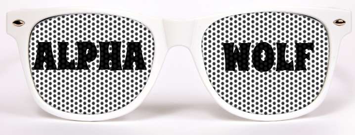 Alpha Wolf sunglasses